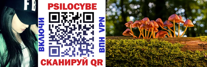 Псилоцибиновые грибы мицелий  Канск 