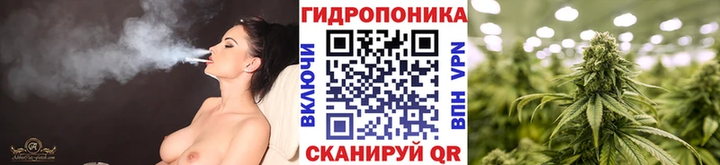 Шишки марихуана Amnesia  купить наркотик  Канск 